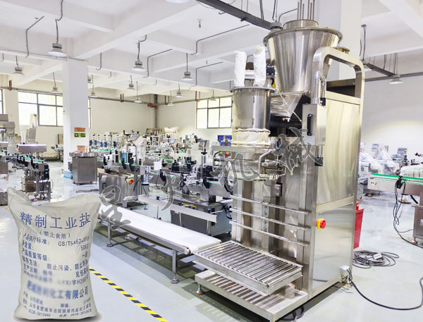 成都工業(yè)鹽自動(dòng)包裝機(jī)實(shí)拍圖